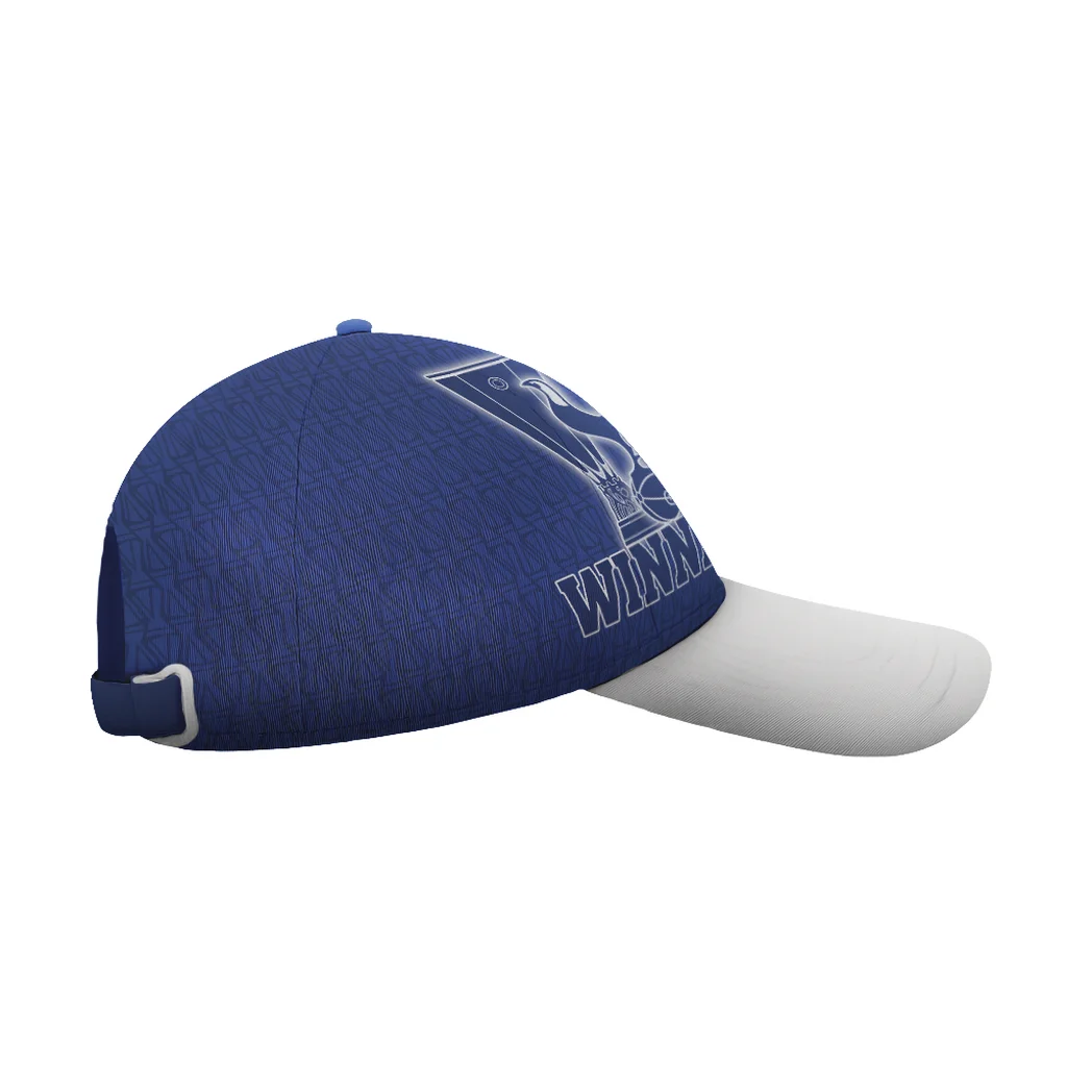 HVN1020BLUE052625CAP4.webp HVN1020BLUE052625CAP4